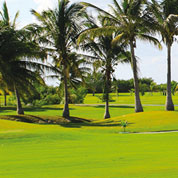 Lawn for Dry Areas - 10 kg - 350m2